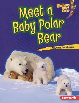 Ismerkedj meg egy jegesmedvebébivel - Meet a Baby Polar Bear