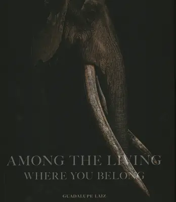 Among the Living: Where You Belong