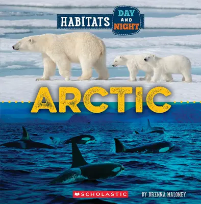 Sarkvidék (Vadvilág: Éjszakai és nappali élőhelyek) - Arctic (Wild World: Habitats Day and Night)