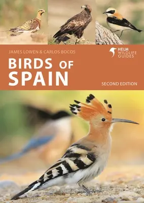 Spanyolország madarai: Második kiadás - Birds of Spain: Second Edition