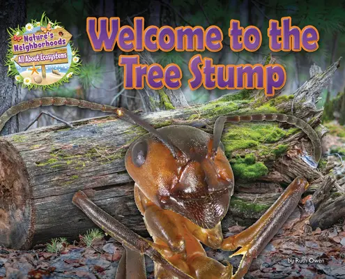 Üdvözöljük a facsonkban - Welcome to the Tree Stump