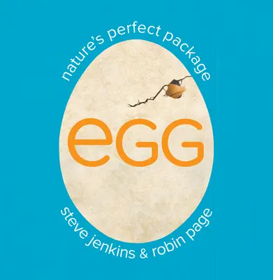 Tojás: A természet tökéletes csomagja - Egg: Nature's Perfect Package