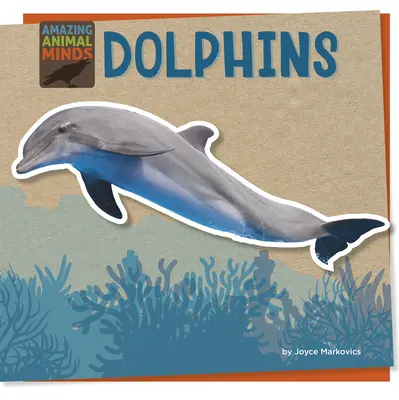 Delfinek - Dolphins