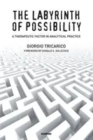 A lehetőségek labirintusa: Terápiás tényező az analitikus gyakorlatban - The Labyrinth of Possibility: A Therapeutic Factor in Analytical Practice