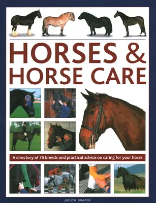 Lovak és lóápolás: A Directory of 80 Breeds and Practical Advice on Caring for Your Horse (80 fajta névjegyzéke és gyakorlati tanácsok a ló gondozásához) - Horses & Horse Care: A Directory of 80 Breeds and Practical Advice on Caring for Your Horse