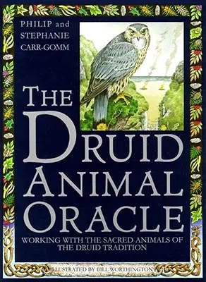 Druida állati jóslat - Druid Animal Oracle