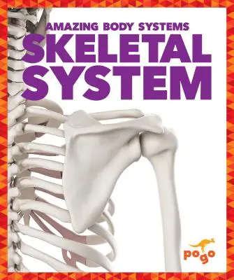 Vázrendszer - Skeletal System