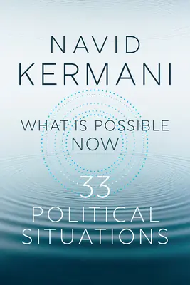 Ami most lehetséges: 33 politikai helyzet - What Is Possible Now: 33 Political Situations