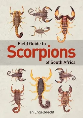 Dél-Afrika skorpióinak terepikalauza - Field Guide to Scorpions of South Africa