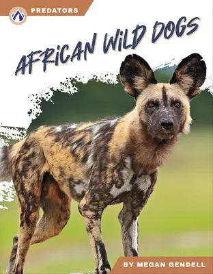 Afrikai vadkutyák - African Wild Dogs