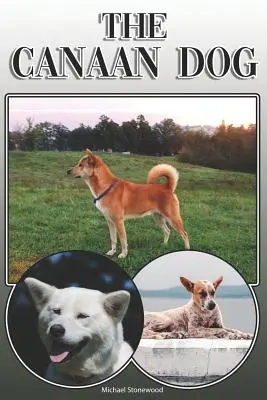 A kánaáni kutya: A Complete and Comprehensive Owners Guide To: Vásárlás, birtoklás, egészség, ápolás, képzés, engedelmesség, megértés és - The Canaan Dog: A Complete and Comprehensive Owners Guide To: Buying, Owning, Health, Grooming, Training, Obedience, Understanding and