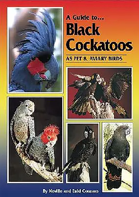 A Guide to Black Cockatoo as Pet & Aviary Birds (Útmutató a fekete kakadukhoz, mint kedvtelésből tartott madarakhoz) - A Guide to Black Cockatoos as Pet & Aviary Birds