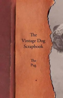 A Vintage Dog Scrapbook - A mopsz - The Vintage Dog Scrapbook - The Pug