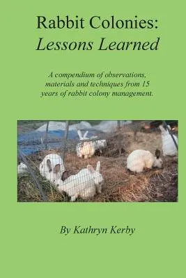 A nyúlkolóniák tanulságai - Rabbit Colonies Lessons Learned