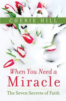 Amikor csodára van szükséged: A hit hét titka - When You Need a Miracle: The Seven Secrets of Faith