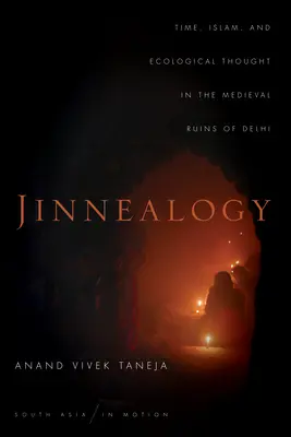 Jinnealogy: Idő, iszlám és ökológiai gondolkodás Delhi középkori romjaiban - Jinnealogy: Time, Islam, and Ecological Thought in the Medieval Ruins of Delhi