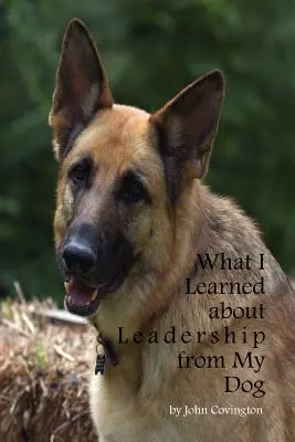 Amit a kutyámtól tanultam a vezetésről - What I Learned About Leadership From My Dog