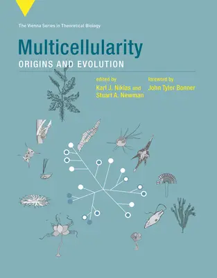 Többsejtűség: Eredet és evolúció - Multicellularity: Origins and Evolution