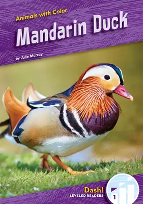 Mandarin kacsa - Mandarin Duck