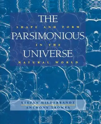 A parszimoniális univerzum: Form és forma a természeti világban - The Parsimonious Universe: Shape and Form in the Natural World