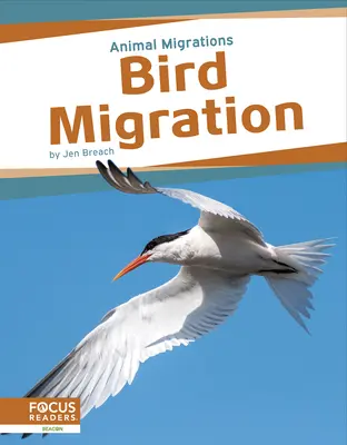 Madárvonulás - Bird Migration