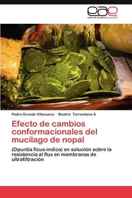 Efecto de Cambios Conformacionales del Mucilago de Nopal