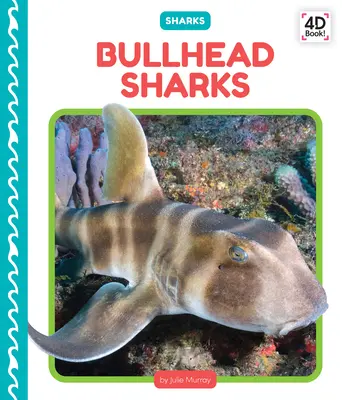 Bullhead Sharks