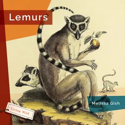 Lemúrok - Lemurs