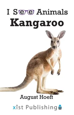 Kenguru - Kangaroo