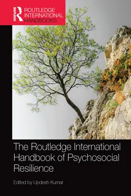 A pszichoszociális rugalmasság nemzetközi kézikönyve (The Routledge International Handbook of Psychosocial Resilience) - The Routledge International Handbook of Psychosocial Resilience