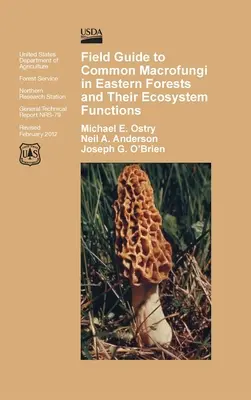 A keleti erdőkben előforduló gyakori makrofungák és ökoszisztémafunkciójuk terepi útmutatója - Field Guide to Common Macrofungi in Eastern Forests and Their Ecosystem Function