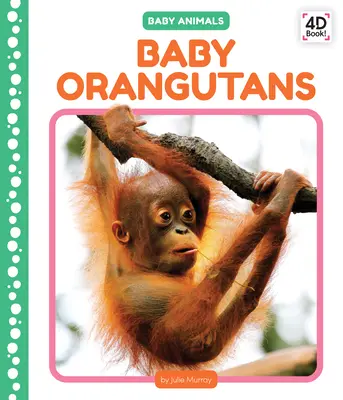 Baby Orangutánok - Baby Orangutans