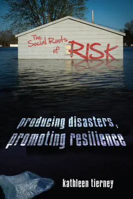 A kockázat társadalmi gyökerei: Katasztrófák előállítása, ellenálló képesség elősegítése - The Social Roots of Risk: Producing Disasters, Promoting Resilience