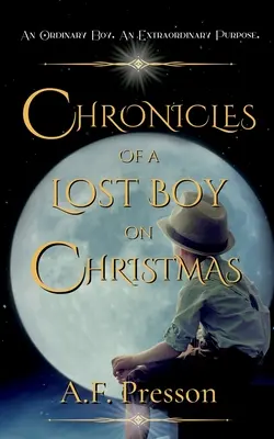 Egy elveszett fiú krónikái karácsonykor - Chronicles of a Lost Boy on Christmas