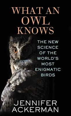 Amit egy bagoly tud - What an Owl Knows