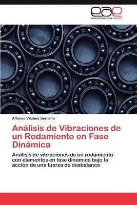 Anlisis de Vibraciones de un Rodamiento en Fase Dinmica (Vibrációs rezgések egy rúdnál) - Anlisis de Vibraciones de un Rodamiento en Fase Dinmica