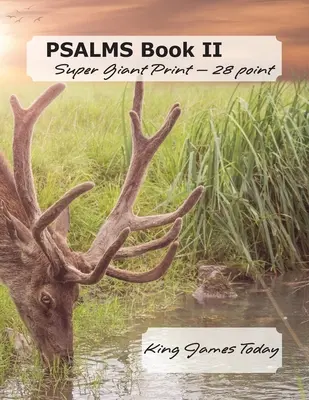 PSALMS II. könyv, szuper óriásnyomtatás - 28 pont: James király ma - PSALMS Book II Super Giant Print - 28 point: King James Today