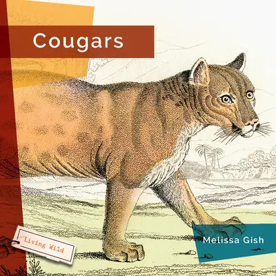 Pumák - Cougars