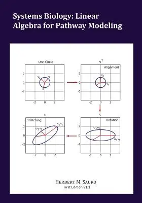 Rendszerbiológia: Lineáris algebra az útvonalak modellezéséhez - Systems Biology: Linear Algebra for Pathway Modeling