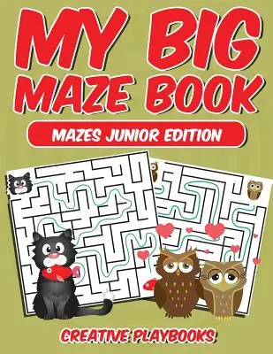 My Big Maze Book Mazes Junior Edition