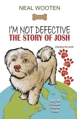 Nem vagyok hibás: Josh története - I'm Not Defective: The Story of Josh