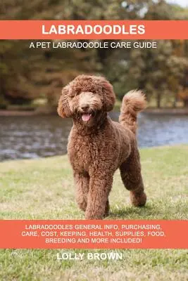 Labradoodles: Labradoodles Általános információk, beszerzés, gondozás, költségek, tartás, egészség, felszerelés, élelmiszer, tenyésztés és még sok minden más! Egy kisállat - Labradoodles: Labradoodles General Info, Purchasing, Care, Cost, Keeping, Health, Supplies, Food, Breeding and More Included! A Pet