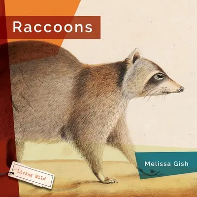 Mosómedvék - Raccoons