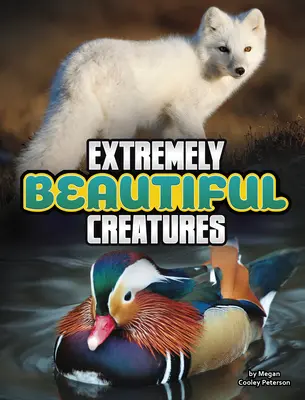 Rendkívül gyönyörű lények - Extremely Beautiful Creatures