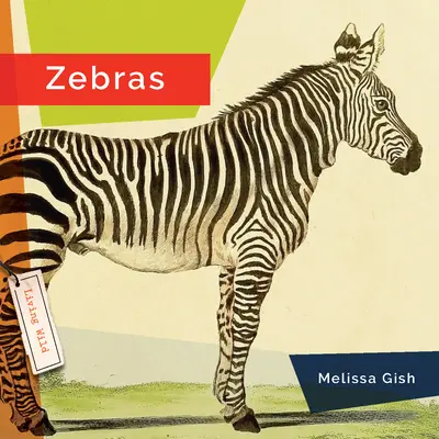 Zebrák - Zebras