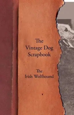 A Vintage Dog Scrapbook - Az ír farkaskutya - The Vintage Dog Scrapbook - The Irish Wolfhound