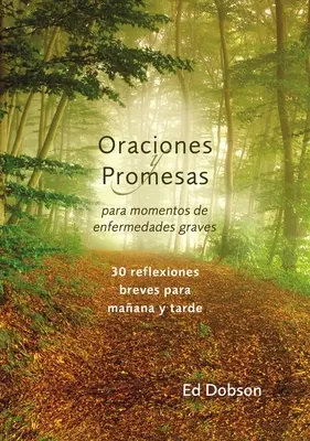 Oraciones y promesas Softcover Imák és ígéretek életveszélyes betegség esetén - Oraciones y promesas Softcover Prayers and Promises When Facing a Life-Threatening Illness