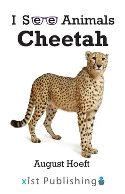 Gepárd - Cheetah
