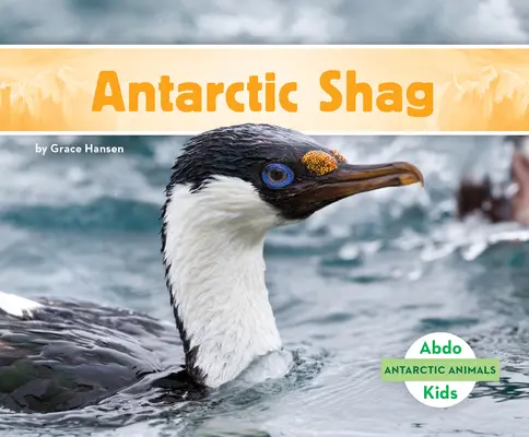 Antarktiszi sáska - Antarctic Shag