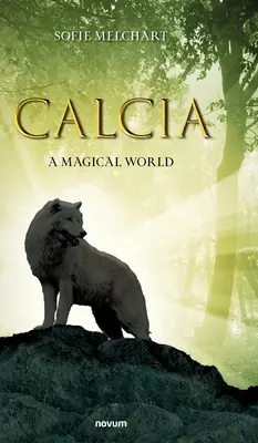 Calcia: A Magical World
